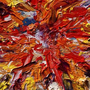 Close on Sunflower 2